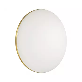 Настенно-потолочный диммируемый светильник с Bluetooth и пультом ДУ Sonex Lassa 3043/DL