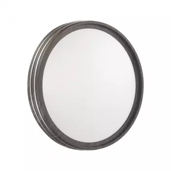 Настенно-потолочный диммируемый светильник с пультом ДУ Sonex Trosto Pale 7604/CL