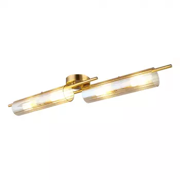 Настенно-потолочный светильник Aployt Lusia APL.315.07.04