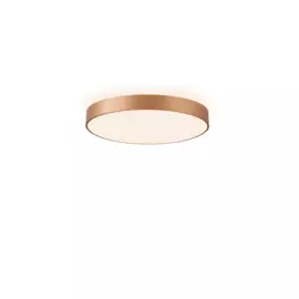 Настенно-потолочный светильник Aployt Virzhini APL.023.07.68