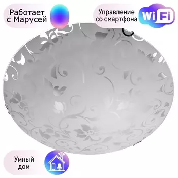Настенно-потолочный светильник Arte Lamp Ornament с поддержкой Маруся A4120PL-3CC-М