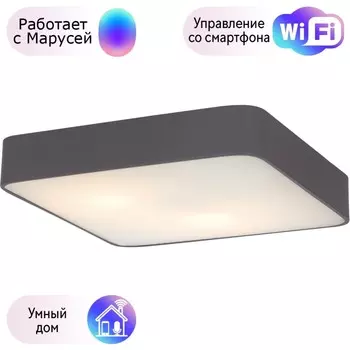Настенно-потолочный светильник Arte Lamp с поддержкой Маруся A7210PL-3BK-М