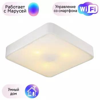 Настенно-потолочный светильник Arte Lamp с поддержкой Маруся A7210PL-3WH-М