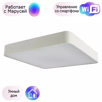 Настенно-потолочный светильник Arte Lamp с поддержкой Маруся A7210PL-4WH-М
