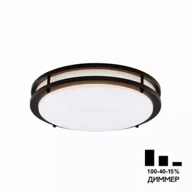 Настенно-потолочный светильник Citilux Бостон CL709325N