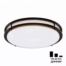 Настенно-потолочный светильник Citilux Бостон CL709505N