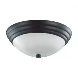 Настенно-потолочный светильник Lumion Kayla 5263/2C