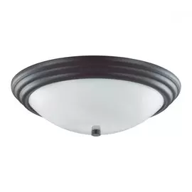 Настенно-потолочный светильник Lumion Kayla 5263/3C