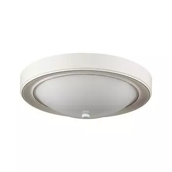 Настенно-потолочный светильник Lumion Nina 5279/2C