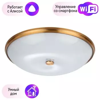 Настенно-потолочный светильник Pelow Odeon Light с поддержкой Алиса 4956/6-A