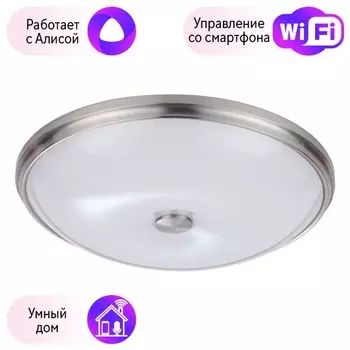 Настенно-потолочный светильник Pelow Odeon Light с поддержкой Алиса 4957/5-A