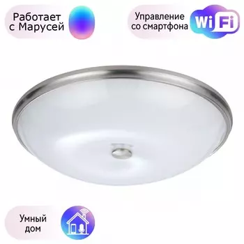 Настенно-потолочный светильник Pelow Odeon Light с поддержкой Маруся 4957/6-М