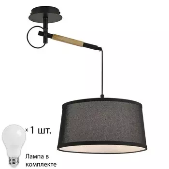 Настенно-потолочный светильник с лампочкой F-Promo Eureka 3006-1P+Lamps А60