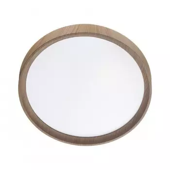 Настенно-потолочный светильник с пультом ДУ Sonex Woodi 7603/EL