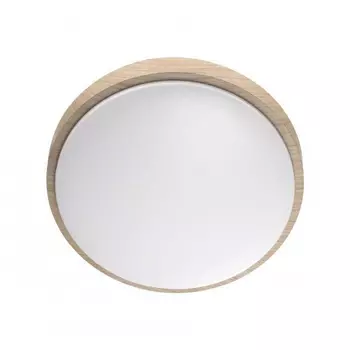 Настенно-потолочный светильник с пультом ДУ Sonex Losta 7607/DL