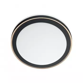 Настенно-потолочный светильник с пультом ДУ Sonex Akuna 7621/DL