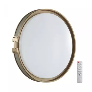 Настенно-потолочный светильник с пультом ДУ Sonex Color Favemo Grey 7654/EL