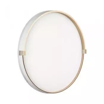 Настенно-потолочный светильник Sonex Pale Olidi White 7646/DL