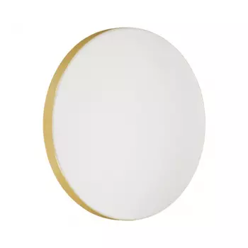 Настенно-потолочный светодиодный светильник Sonex Smalli 3066/AL