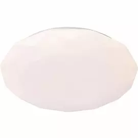 Настенно-потолочный светодиодный светильник Wink 1268/24W+24W R