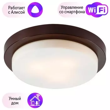 Настенно-потолочный влагозащищенный светильник Odeon Light Holger с поддержкой Алиса 2744/3C-A