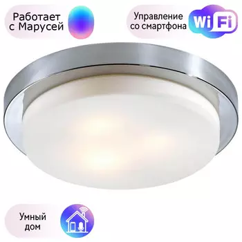 Настенно-потолочный влагозащищенный светильник Odeon Light Holger с поддержкой Маруся 2746/3C-М