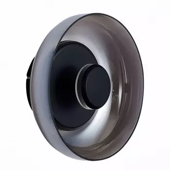 Настенный светильник ST Luce Lazio SL6002.401.01