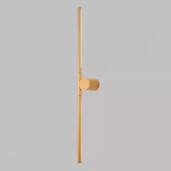 Настенный светодиодный светильник Crystal Lux CLT 058W2 GO