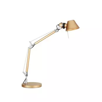 Настольная лампа Favourite Legend 2839-1T