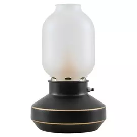 Настольная лампа Lussole Anchorage LSP-0568