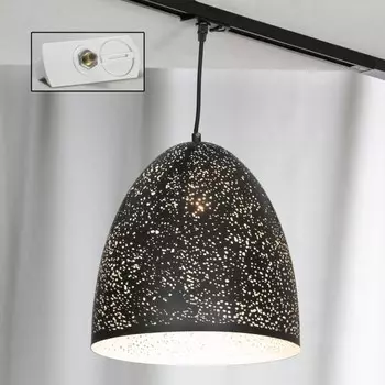 Однофазный светильник на подвесе для трека Lussole Lgo Port chester LSP-9892-TAW