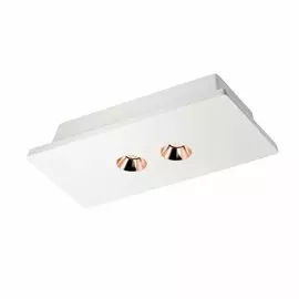 OL1072-WG/2 Потолочный светодиодный светильник Loft IT Architect