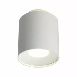 OML-100309-16 Точечный светильник Omnilux Torino