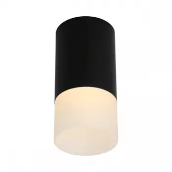 OML-100619-01 Точечный светильник Omnilux Lucido