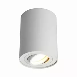 OML-101009-01 Точечный светильник Omnilux Pantaleo