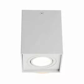 OML-101109-01 Точечный светильник Omnilux Feletto