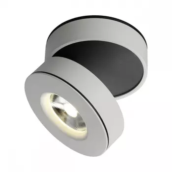 OML-101909-12 Потолочный светильник Omnilux Borgetto