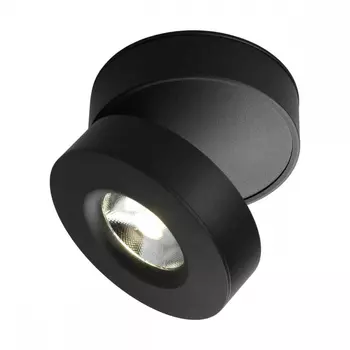 OML-101919-12 Потолочный светильник Omnilux Borgetto