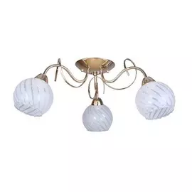 OML-24907-03 Потолочная люстра Omnilux Grosotto