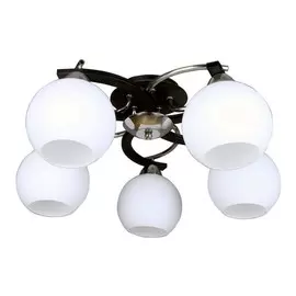 OML-25407-05 Потолочная люстра Omnilux Caldiero