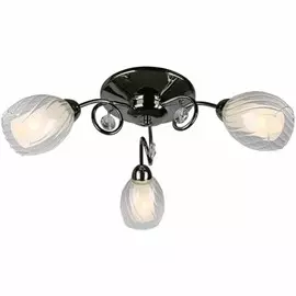 OML-31607-03 Потолочная люстра Omnilux Anjou