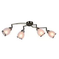 OML-35121-04 Потолочная люстра Omnilux Autunois