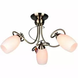 OML-37227-03 Потолочная люстра Omnilux Perthois