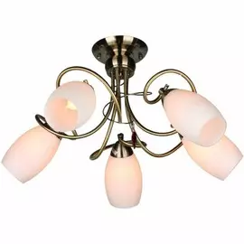 OML-37227-05 Потолочная люстра Omnilux Perthois