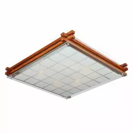 OML-40527-05 Настенно-потолочный светильник Omnilux Carvalhos