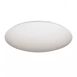 OML-43017-80 Потолочный светильник Omnilux Orion