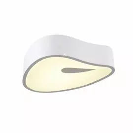 OML-45507-25 Потолочный светильник Omnilux Ferryhill