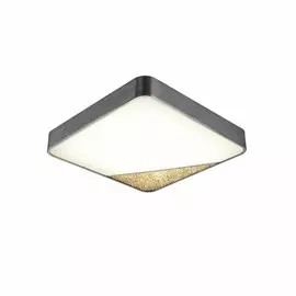 OML-45617-80 Потолочный светильник Omnilux Fleetood