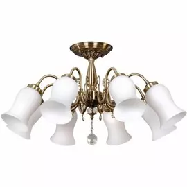 OML-46007-08 Потолочная люстра Omnilux Multien