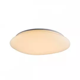 OML-47507-60 Потолочный светильник Omnilux Campanedda